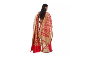 banarasi-dupatta-saree-with-shawl-and-unstitched-blouse-for-women-redgreen